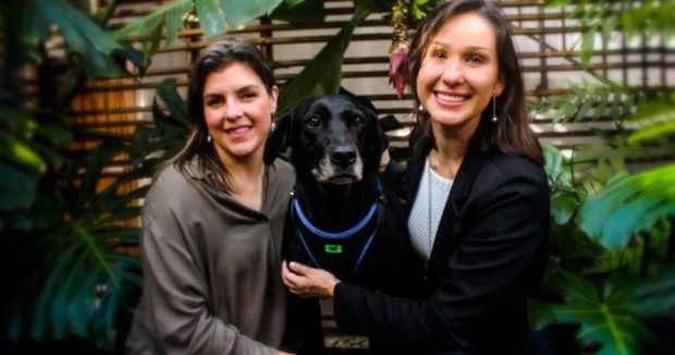 Startup propõe movimento animal por comida de verdade