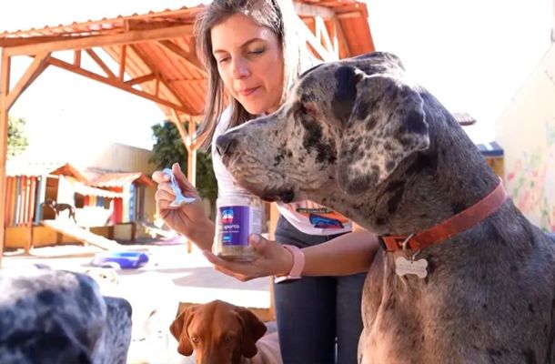 Rocket 2023 - Startup propõe movimento de alimentação natural para os pets.