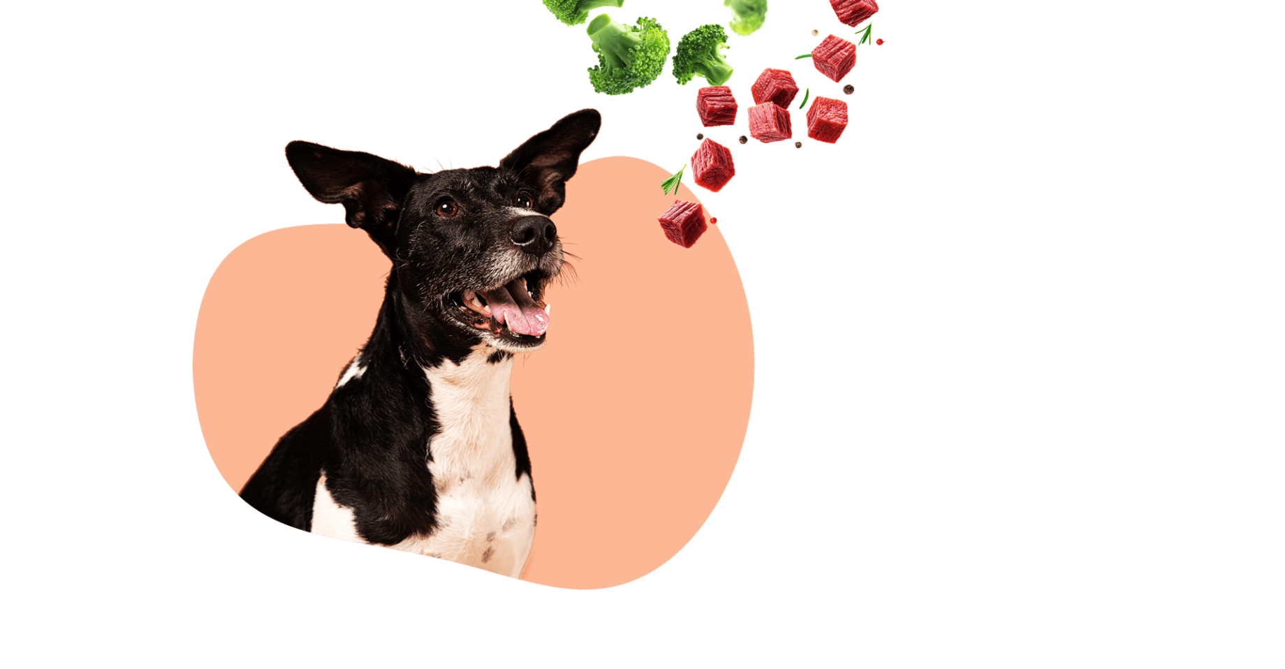 Pet Apertiz. Naturalmente delicioso.